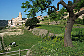 Tivissa. Ribera d Ebre, Tarragona province. Catalonia, Spain