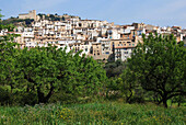 Paüls, near els Ports de Beseit. Baix Ebre. Tarragona province. Catalonia, Spain