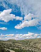 Los Monegros (near Alfajarin). Zaragoza province, Spain.