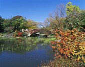 Fall foliage, pond and Gapstow Bridge in Central Park, Manhattan. New York City, USA