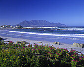 Scenic grootbaai, Bloubergstrand beach, Capetown, South africa.
