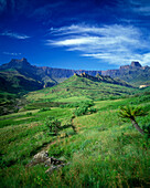 Scenic amphitheatre, Royal natal National Park, Drakensburg, South africa.