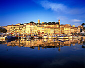 Old port, Cannes, Cote d azur, Riviera, France.