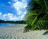 Scenic espadilla sur beach, Manuel antonio National Park, Costa Rica.