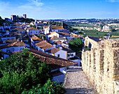 City wall at porta da vila, obidos, Portugal.