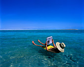 Floating man reading newspaper, Ein bokek, Dead sea, Israel.