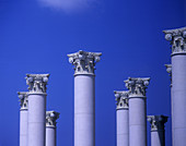 Corinthian style columns.