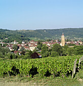 Vineyard and Arbois skyline. Jura. France.