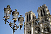 Notre Dame cathedral and street lamp. Paris, France
