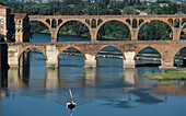 Barge with tourists on Tarn river and Pont Vieux bridge (11th century), Albi. Tarn, France