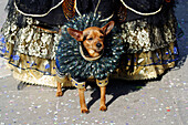 Carnival. Venice. Italy