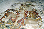 Mosaic at House of Amphitrite, Bulla Regia roman ruins. Tunisia