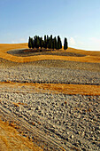 Country landscape. Siena. Tuscany, Italy