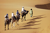 Tourist camel ride. Morocco