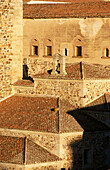 Torre del Bujaco (12th century). Caceres. Extremadura. Spain
