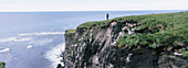 Látrabjarg cliffs. ISLANDIA.