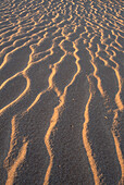 Namib-Naukluft Park. Namib Desert. Namibia