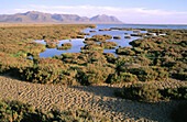 Salt marshes in the Cabo de Gata-Nijar Biosphere Reserve. Almeria province. Andalusia. Spain