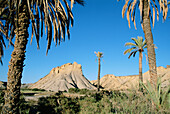 Palm trees and naked ridges of eroded sandstone in Tabernas desert, Europe s only true desert. Almería province, Andalusia, Spain