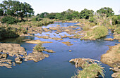 The Sabie River. Kruger National Park. South Africa