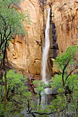 The Temple of Sinawava. Zion National Park, Utah, USA.