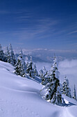 Winterlandschaft mit Talnebel, Hochries, Chiemgauer Alpen, Oberbayern, Bayern, Deutschland