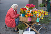 Flower vendor on Esplanade