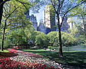 Pond, Central Park, Manhattan, New York, USA