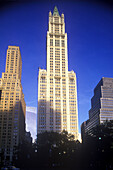 Woolworth building, Broadway, Downtown, Manhattan, New York, USA