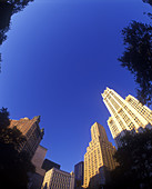 Woolworth building, Broadway, Downtown, Manhattan, New York, USA