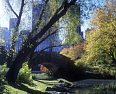 Fall, Pond, Capstow bridge, Central Park, Manhattan, New York, USA
