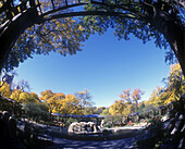 Aquatic pool, Central Park zoo, Manhattan, New York, USA