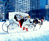 Winter snow carriage ride, Central Park, Manhattan, New York, USA
