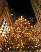Christmas tree, Broad Street, Financial district, Manhattan, New York, USA