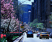 Taxi cabs, Park Avenue, Midtown, Manhattan, New York, USA