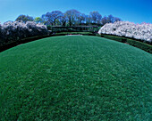 Lawn, Conservatory garden, Central Park, Manhattan, New York, USA