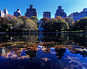 Model boat pond, Central Park east, Manhattan, New York, USA