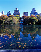 Model boat pond, Central Park east, Manhattan, New York, USA
