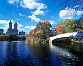 Bow bridge, The Lake, Central Park, Manhattan, New York, USA
