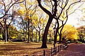 Walter scott statue, The mall, Central Park, Manhattan, New York, USA