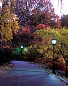Path, Central Park, Manhattan, New York, USA