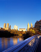 Bow bridge, The Lake, Central Park, Manhattan, New York, USA