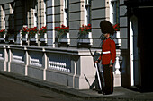 Guardsman, Saint James s palace, London, England, UK