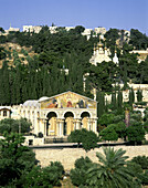 Church of all nations gethsemane, Mount of olives, Jerusalem, Israel.
