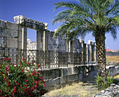Synagogue ruins, Capernaum, Sea of galilee, Israel.