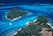 Tobago Cays. Saint Vincent and the Grenadines