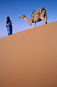 Tuareg with camel. Merzouga Dunes. Morocco