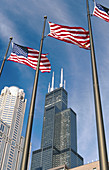 Sight with the Sears Tower. Chicago. Illinois. USA