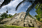 Structure N10-43, also known as El Castillo. Maya temple ruins at Lamanai (300BC - 1500AD). Lamanai, Belize