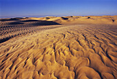 Sand dunes. Sahara Desert, Douz, Tunisia